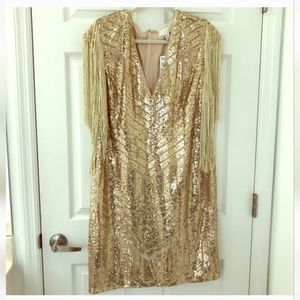 Forever 21 Sequin Dress, size 3X, God